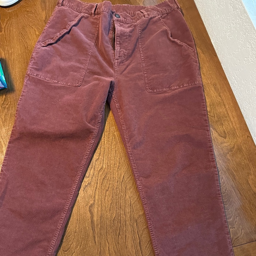 Marine Layer cords, elastic waist, size 36 (seems like a 12?)